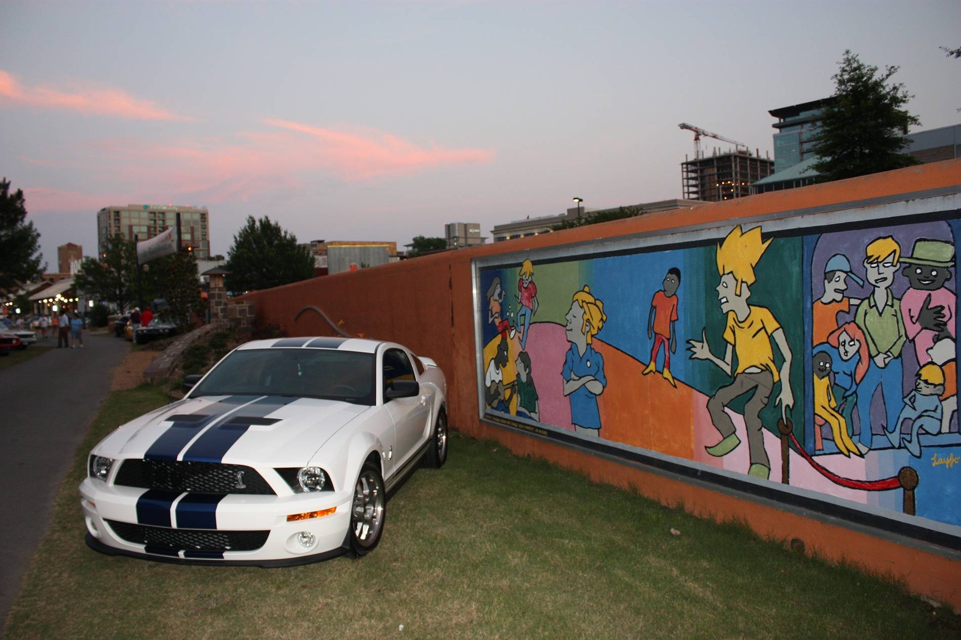 S650 Mustang Ford has no clue who their customers our IMG_0087.JPG