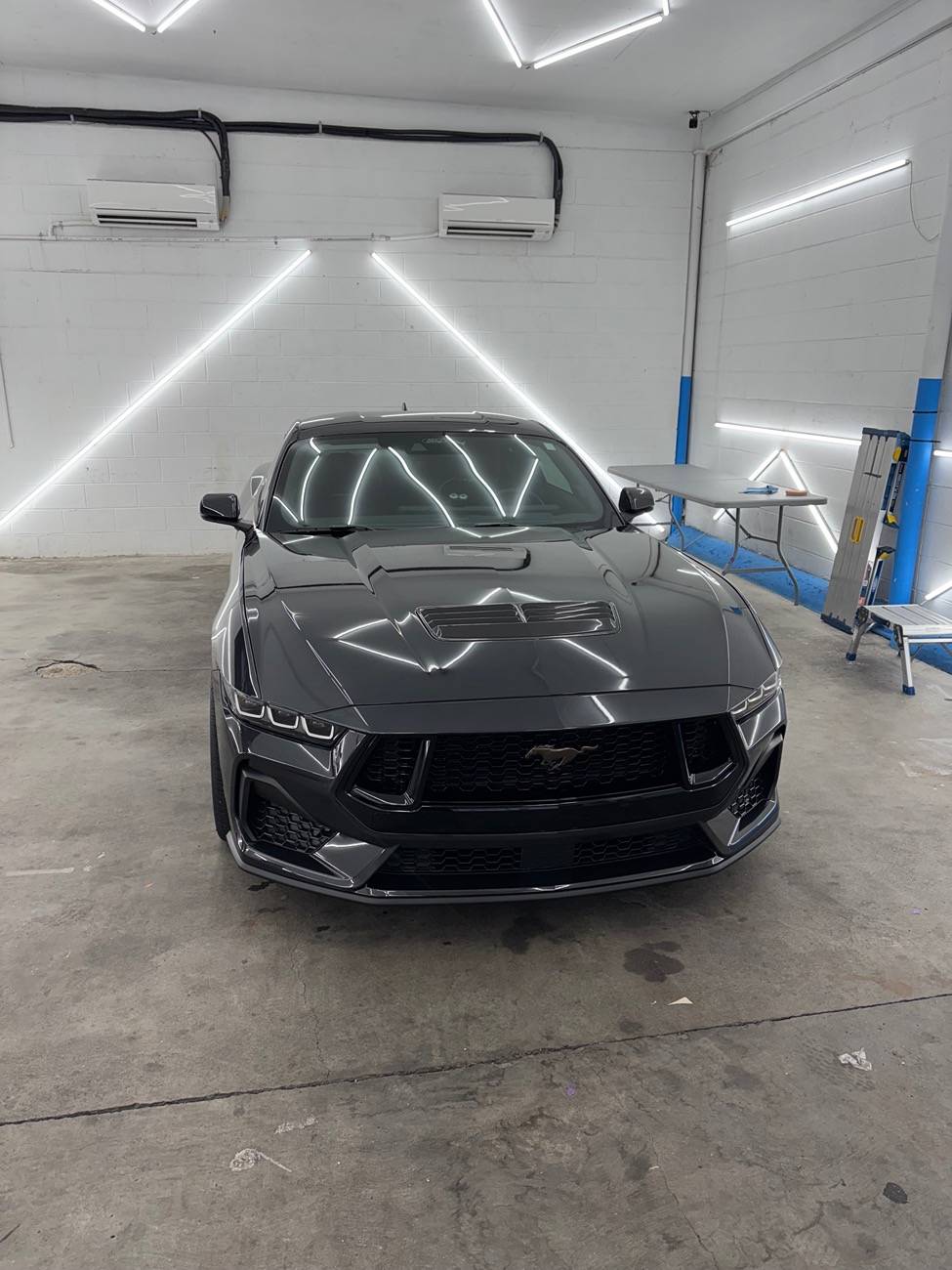 S650 Mustang What did you do to your S650 Mustang today?? 🙋🏻‍♂️ IMG_0110