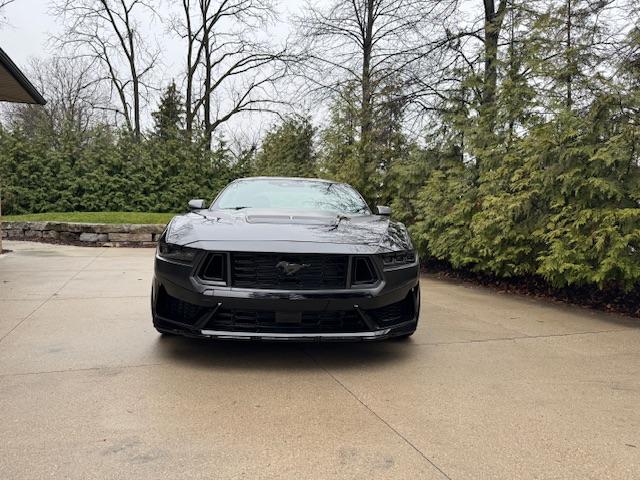 S650 Mustang Introductions & Welcome Thread 👋 IMG_0131