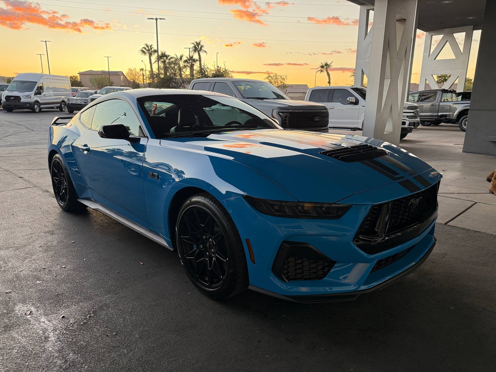 S650 Mustang Official GRABBER BLUE Mustang S650 Thread IMG_0163