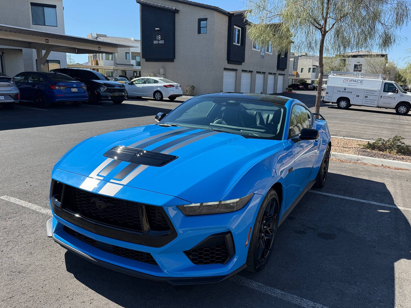 S650 Mustang Official GRABBER BLUE Mustang S650 Thread IMG_0182