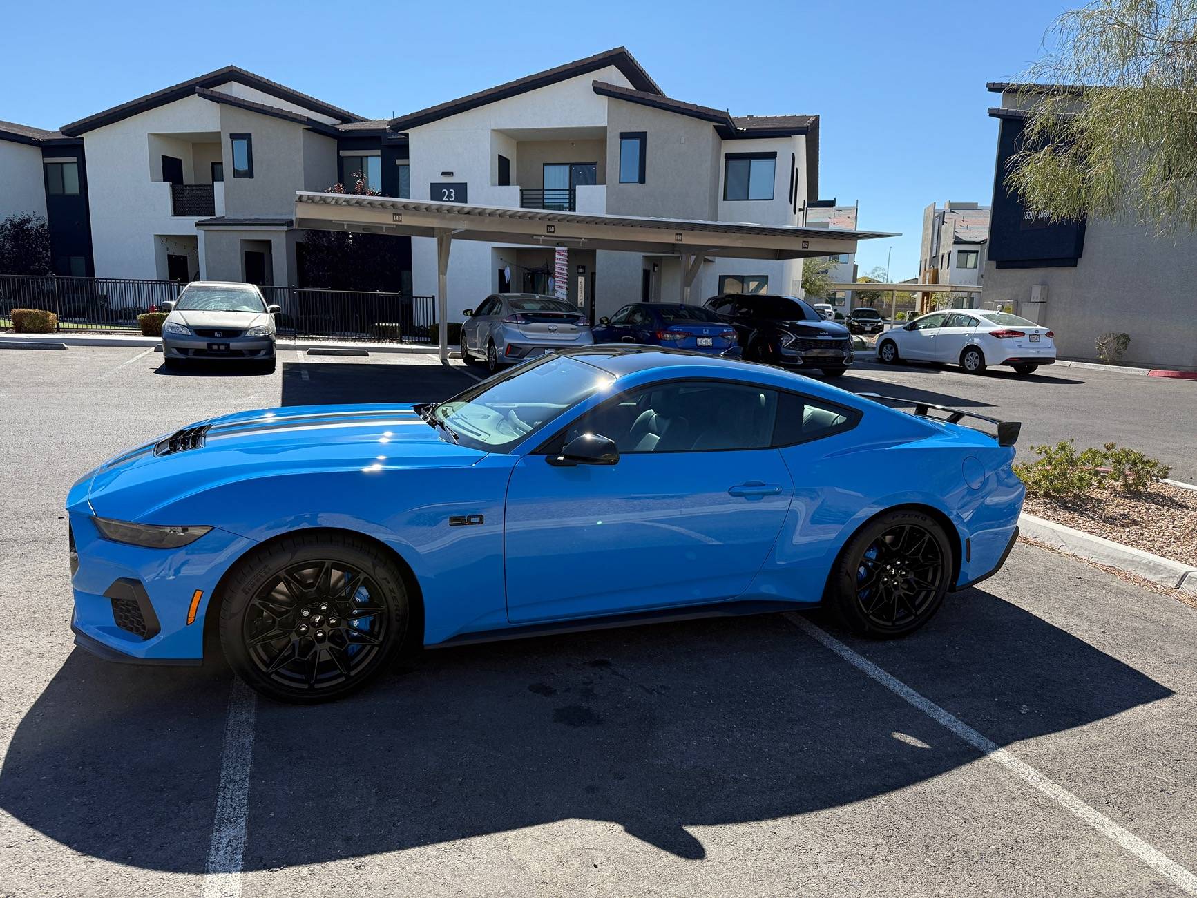 S650 Mustang Official GRABBER BLUE Mustang S650 Thread IMG_0185