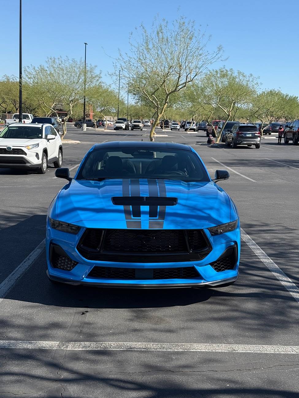 S650 Mustang Official GRABBER BLUE Mustang S650 Thread IMG_0204