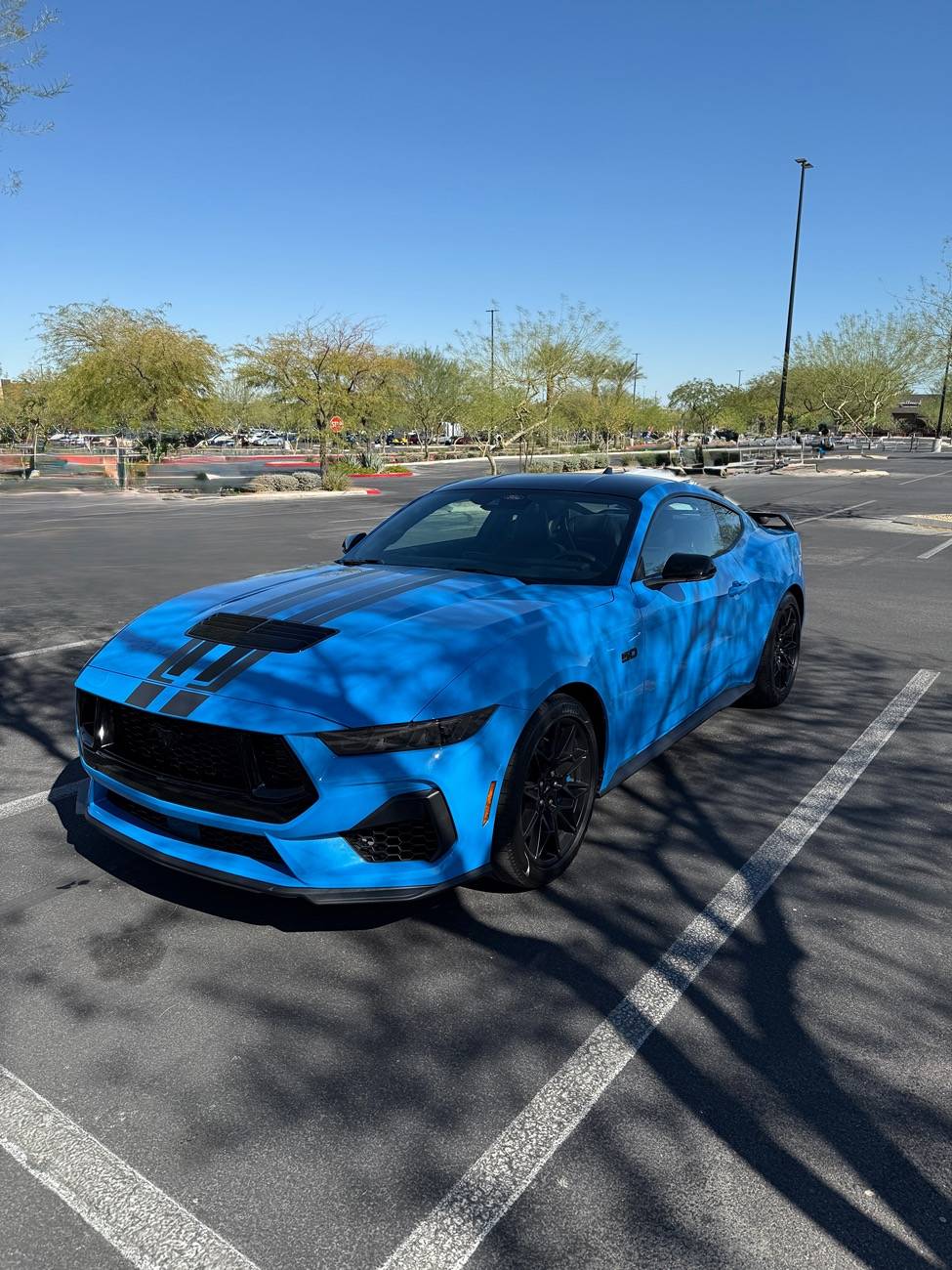 S650 Mustang Cool Daily Random S650 Mustang Pics -- Post Yours! 📸 IMG_0205