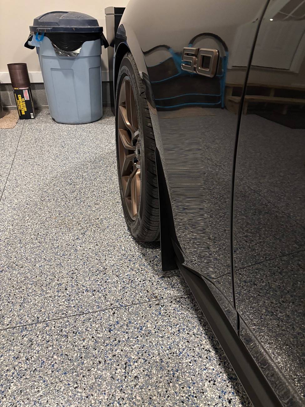 S650 Mustang Options for protecting against stone chips on S650's IMG_0213