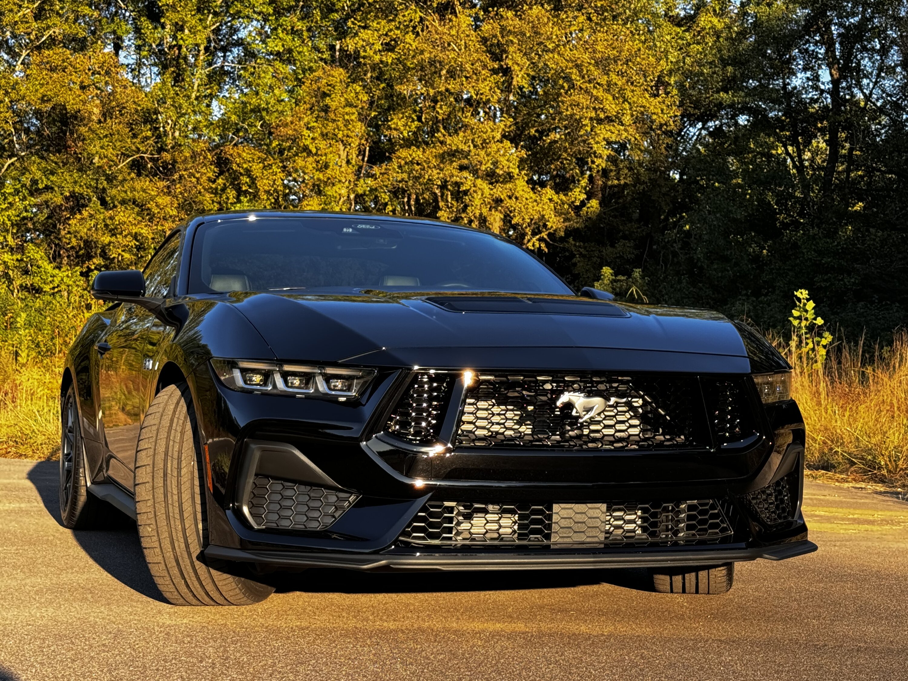 S650 Mustang S650 Glamour Shots IMG_0215