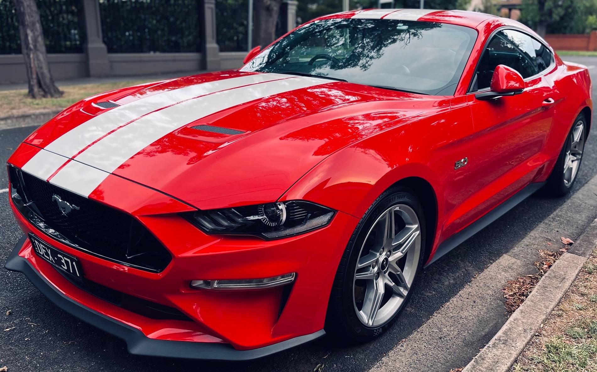 S650 Mustang DFB5.0's Obsessive Car Detailing Flow Chart IMG_0222