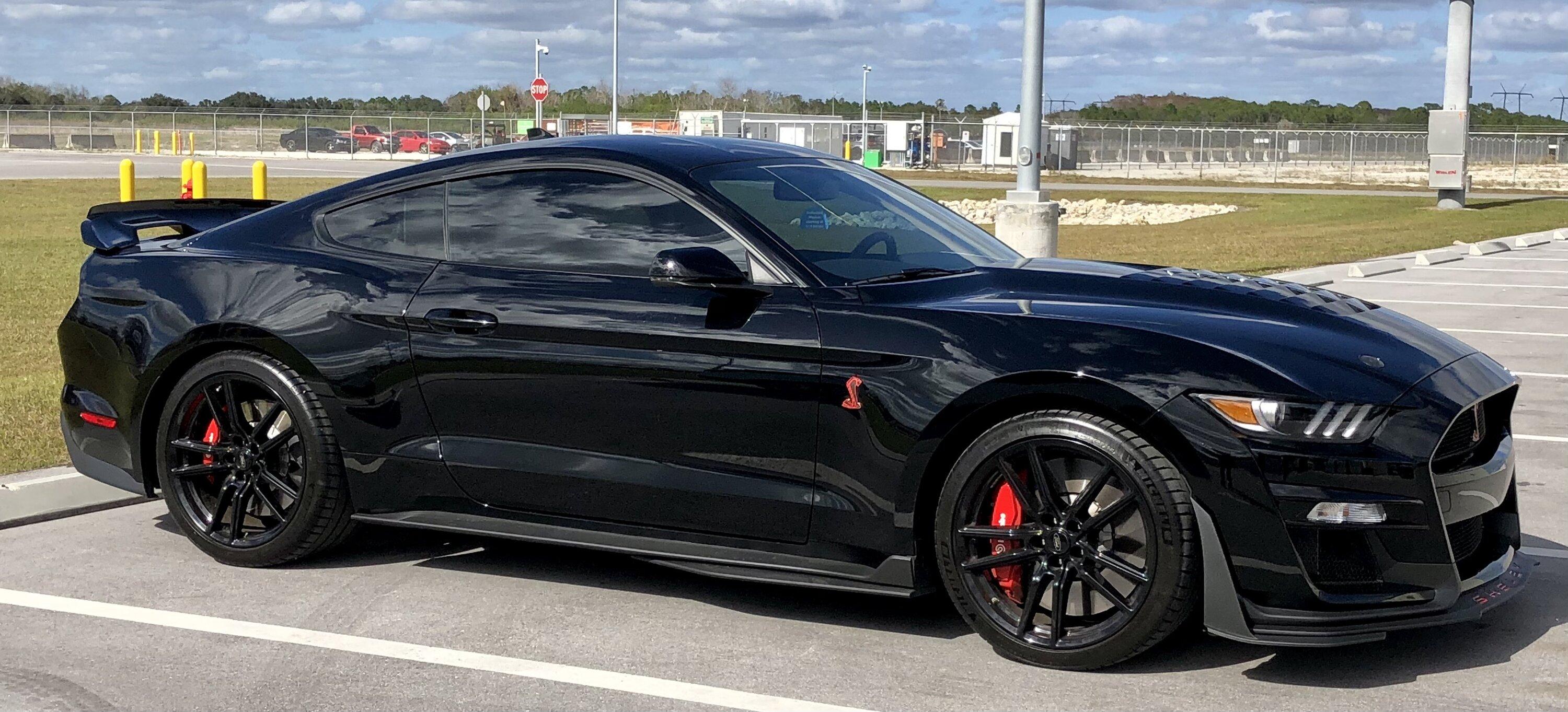 S650 Mustang What would you do....I'm torn IMG_0260
