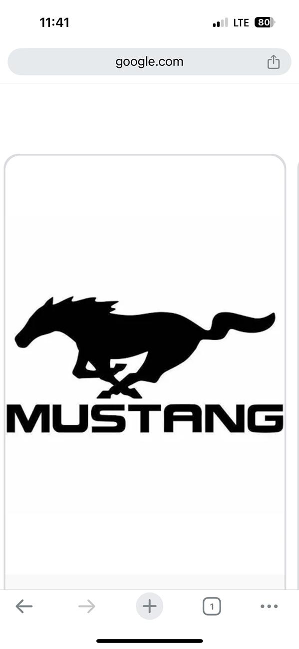 S650 Mustang Unofficial 2025 60th Anniversary Edition Mustang Registry IMG_0318