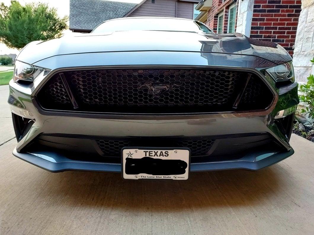 S650 Mustang Front License Plate IMG_0340