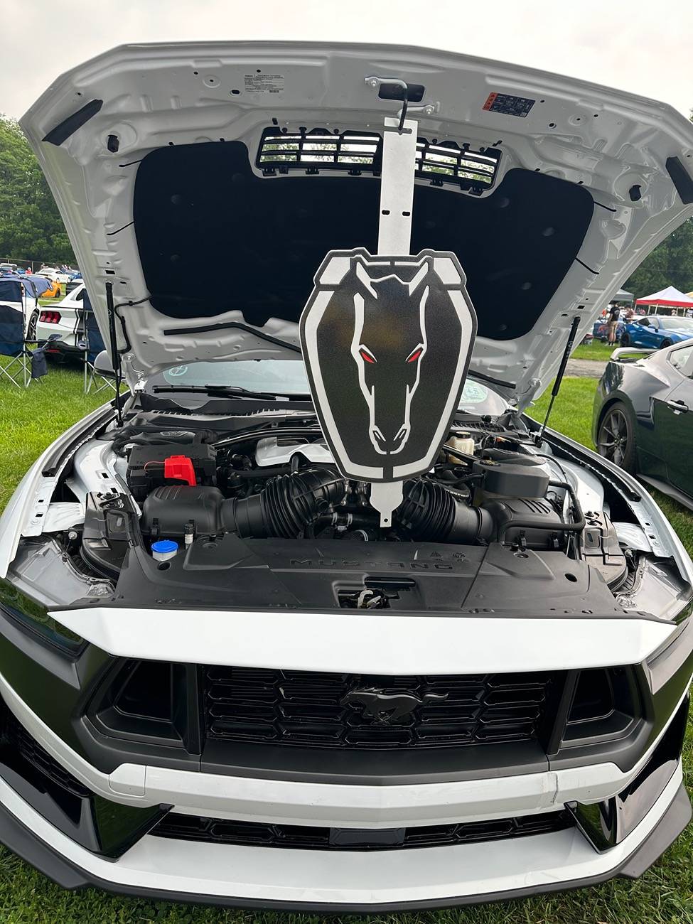 S650 Mustang 2025 Ford Nationals Carlisle, PA anyone attending? IMG_0417