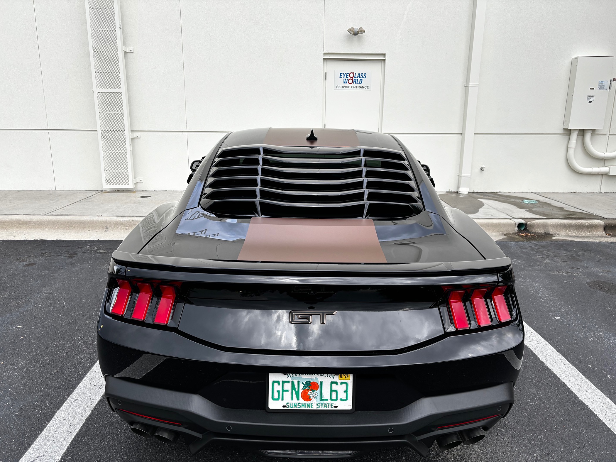 S650 Mustang Racing Stripes or Wrap! IMG_0441