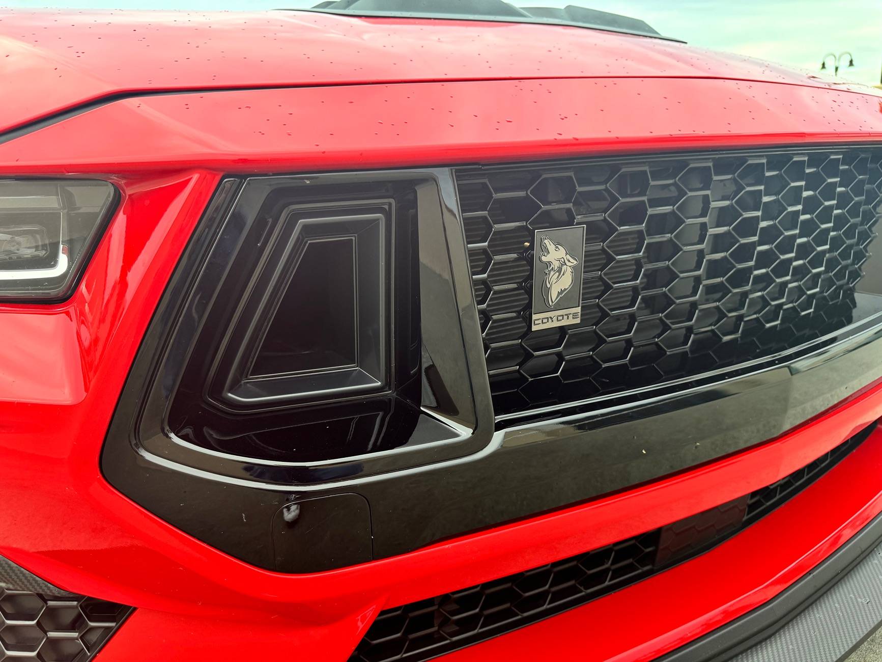 S650 Mustang New or different Grill deletes IMG_0467