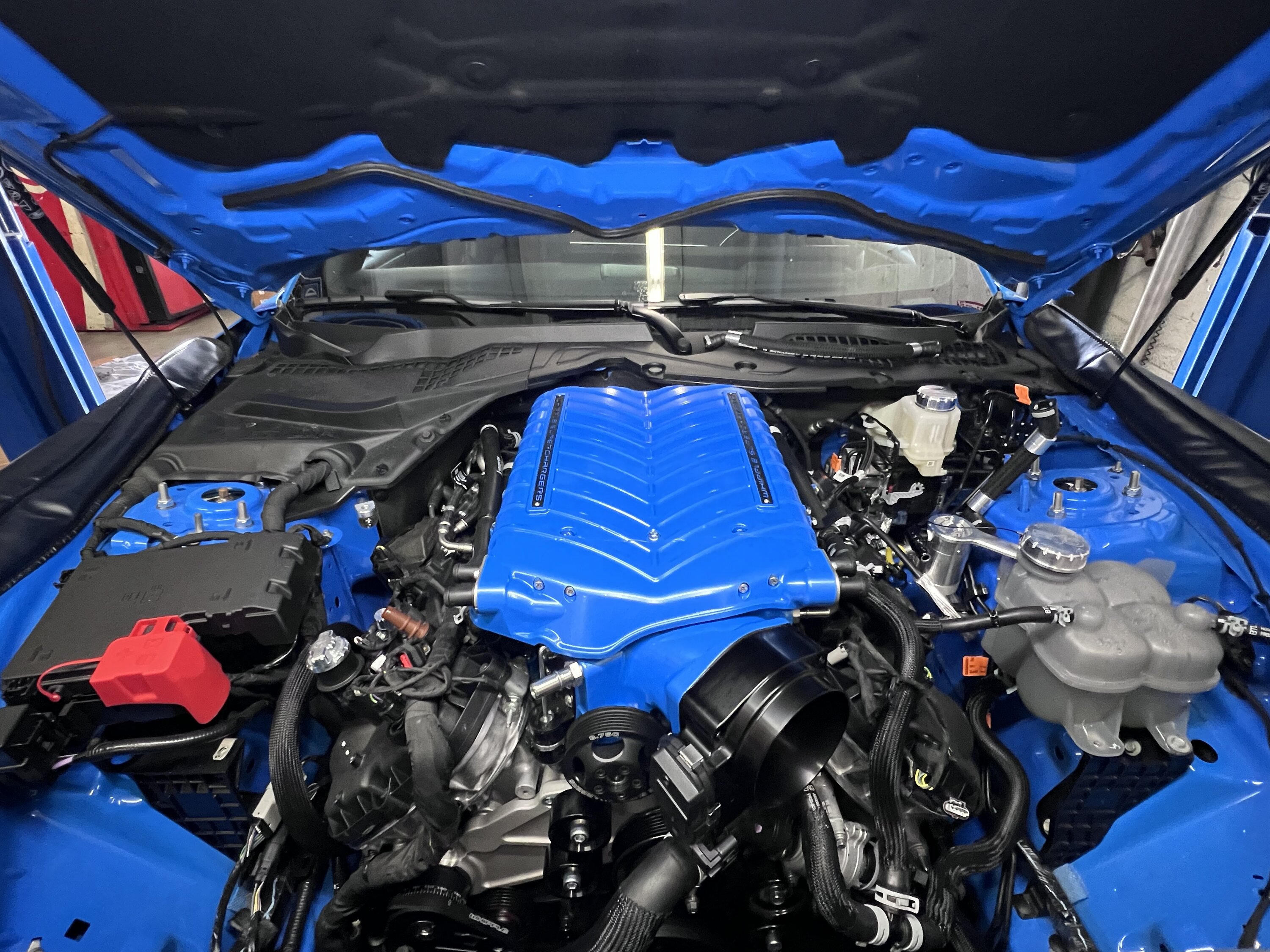 S650 Mustang Whipple Gen 6 Supercharger coming for 2024 Mustang S650 IMG_0505