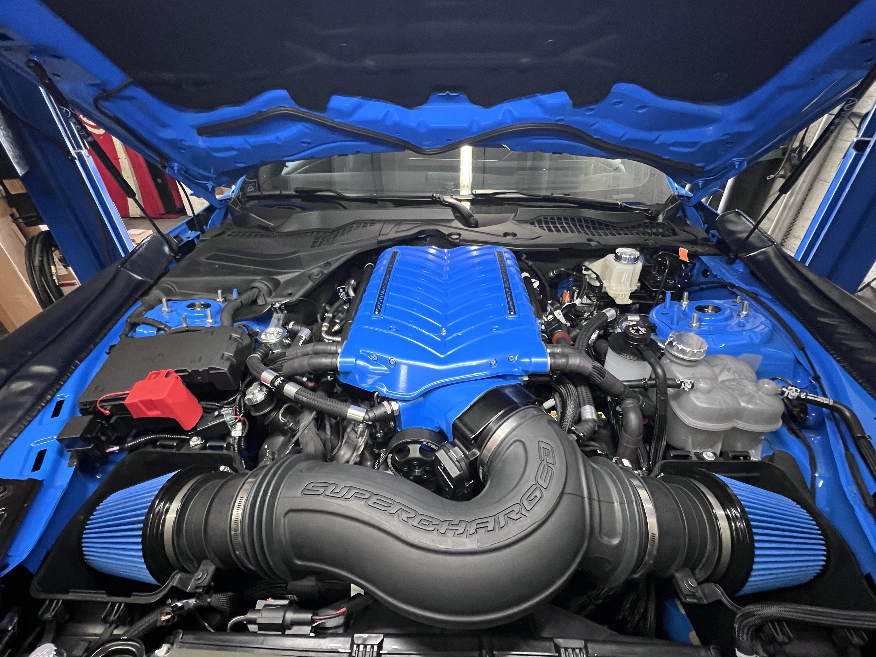 S650 Mustang Whipple Gen 6 Supercharger coming for 2024 Mustang S650 IMG_0538