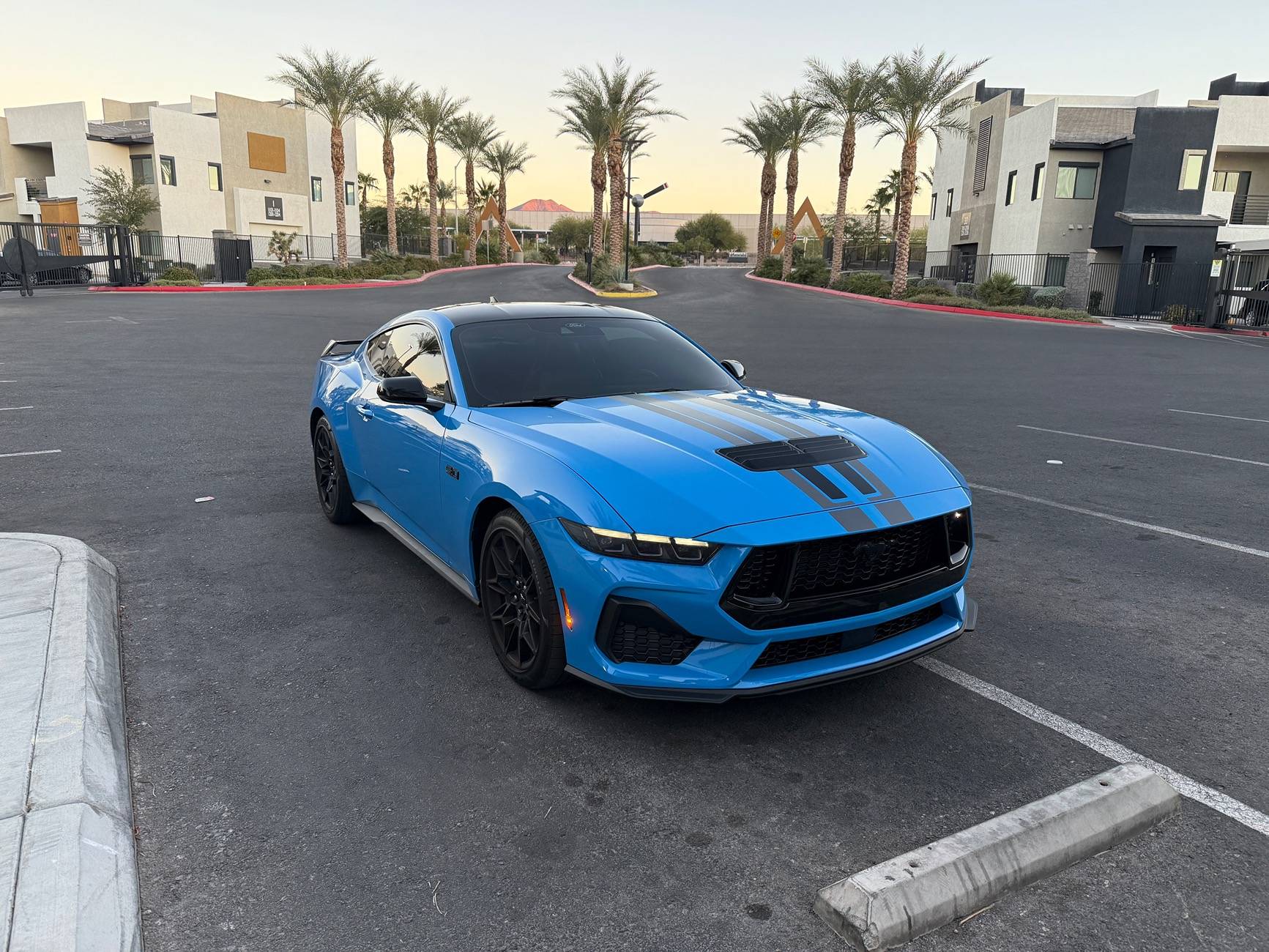 S650 Mustang Cool Daily Random S650 Mustang Pics -- Post Yours! 📸 IMG_0545