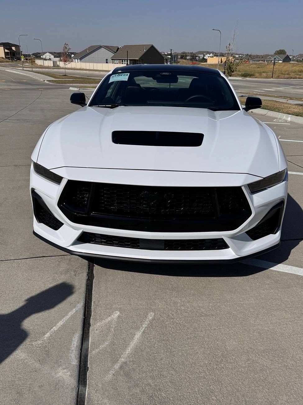S650 Mustang Official OXFORD WHITE Mustang S650 Thread IMG_0564(1)