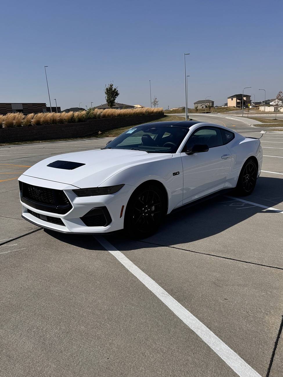 S650 Mustang Official OXFORD WHITE Mustang S650 Thread IMG_0569(1)