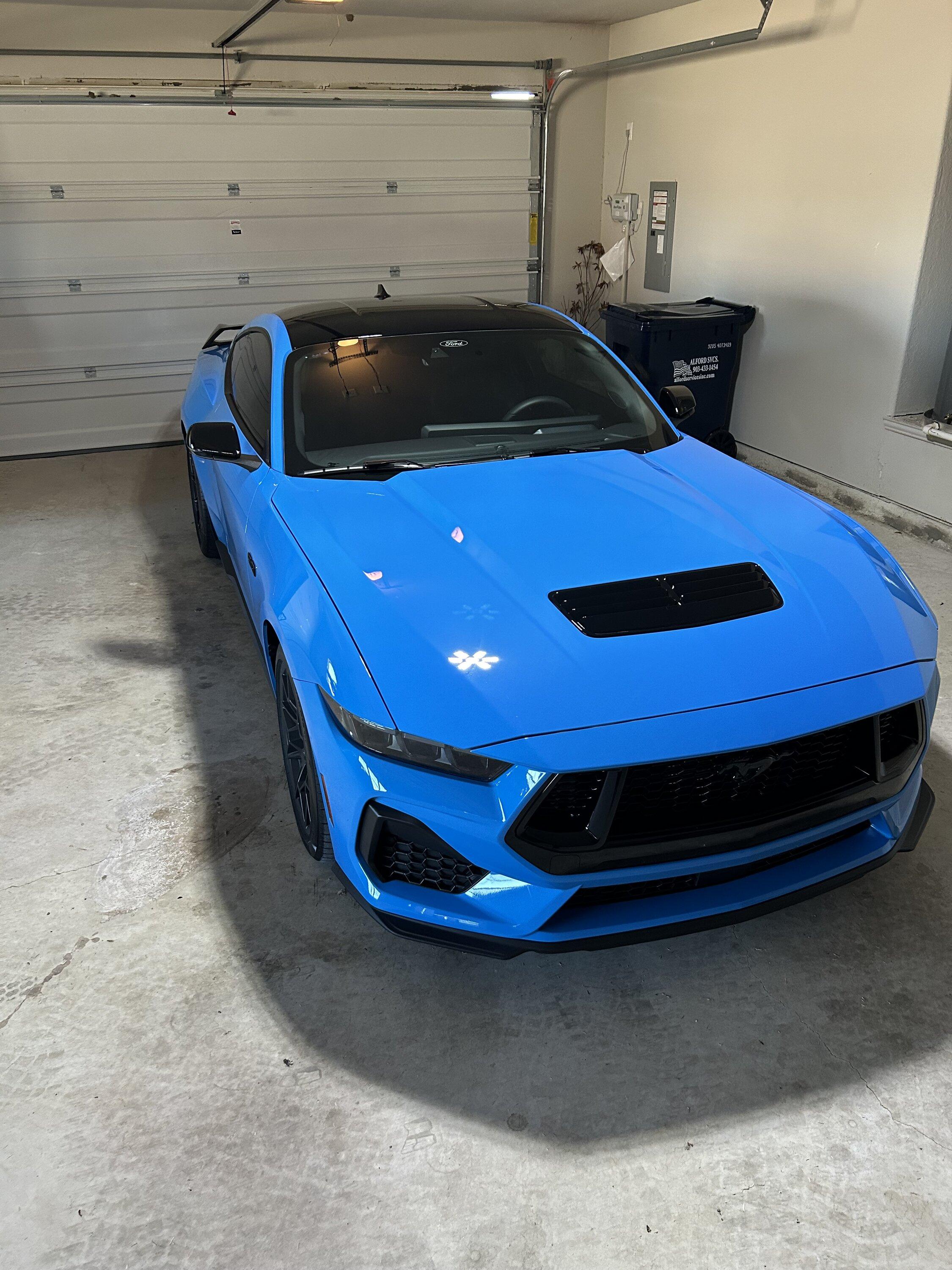 S650 Mustang Official GRABBER BLUE Mustang S650 Thread IMG_0606