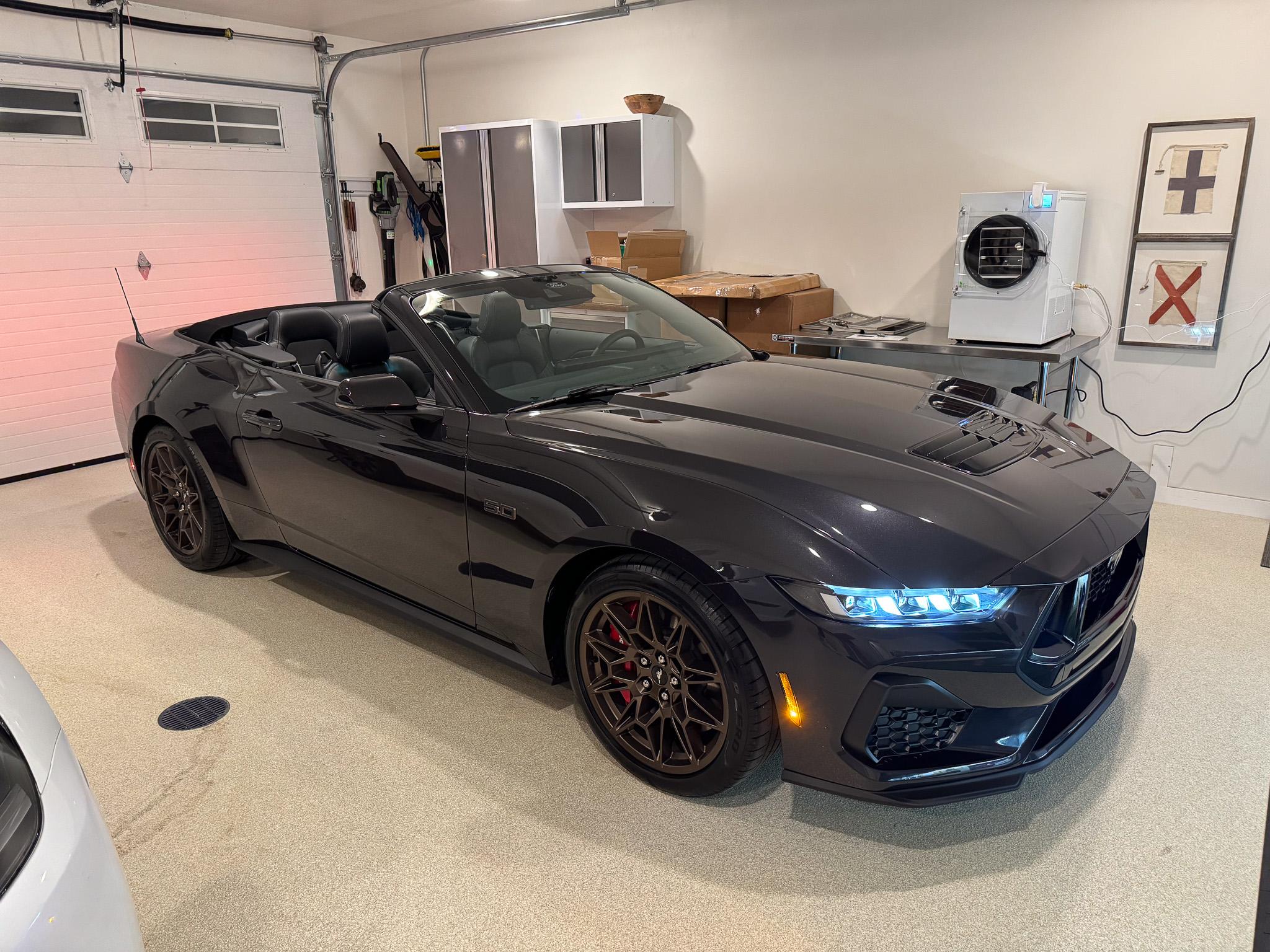 S650 Mustang Official DARK MATTER GRAY Mustang S650 Thread IMG_0606