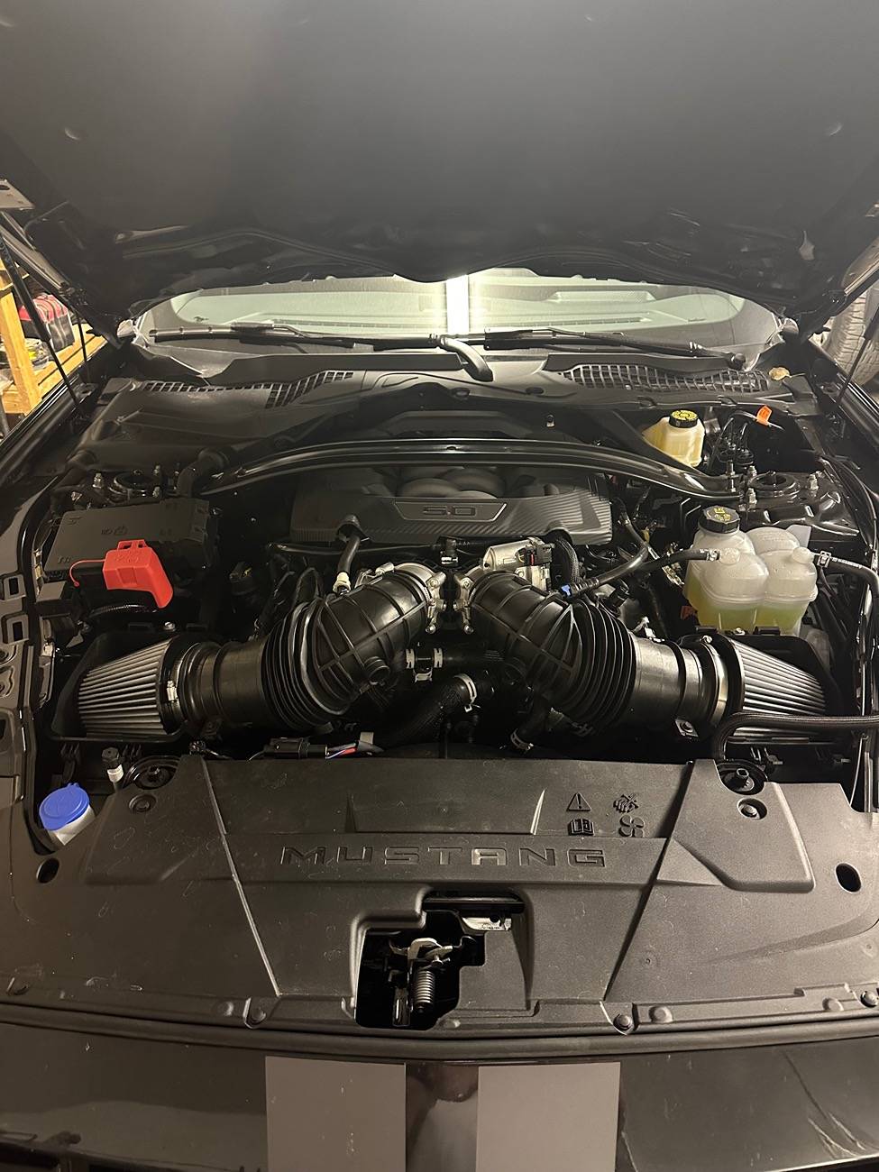 S650 Mustang 2024+ Mustang GT Air Intake Filters IMG_0624