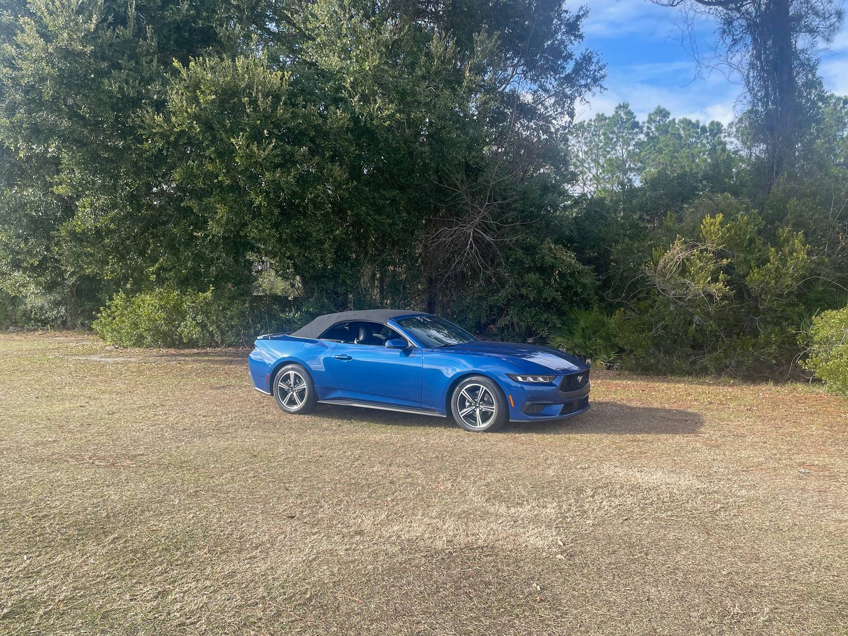 S650 Mustang Free Christmas Giveaway by Screen Protech IMG_0680