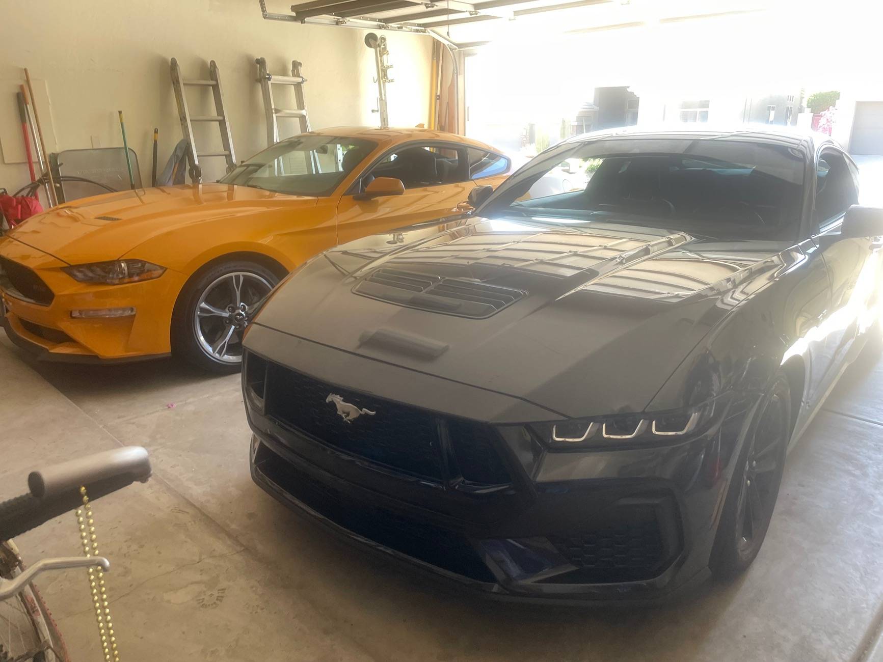 S650 Mustang Official INTENSE LIME YELLOW Mustang S650 Thread IMG_0696