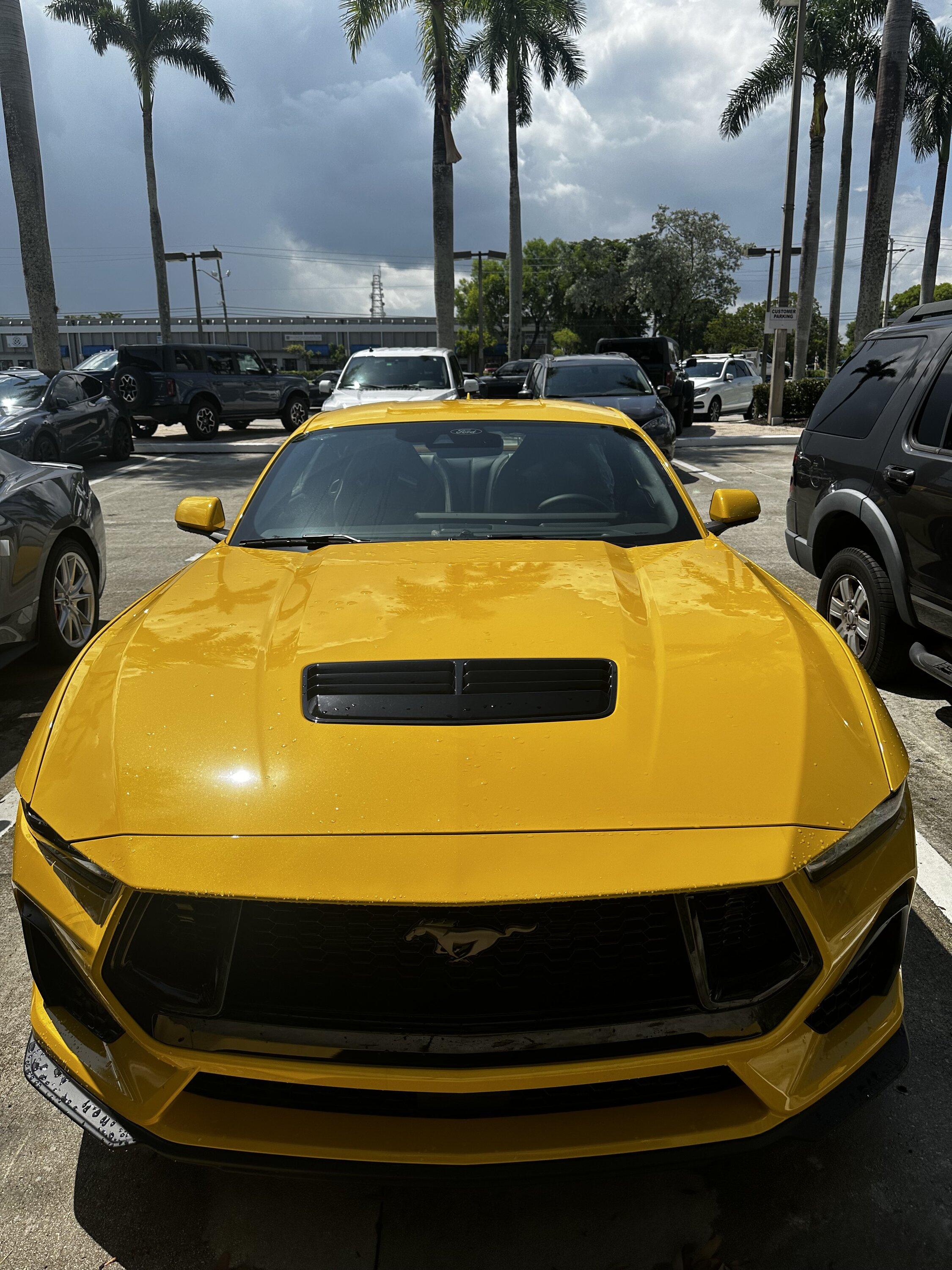 S650 Mustang Picking up 2024 GT fully loaded Water damaged IMG_0719