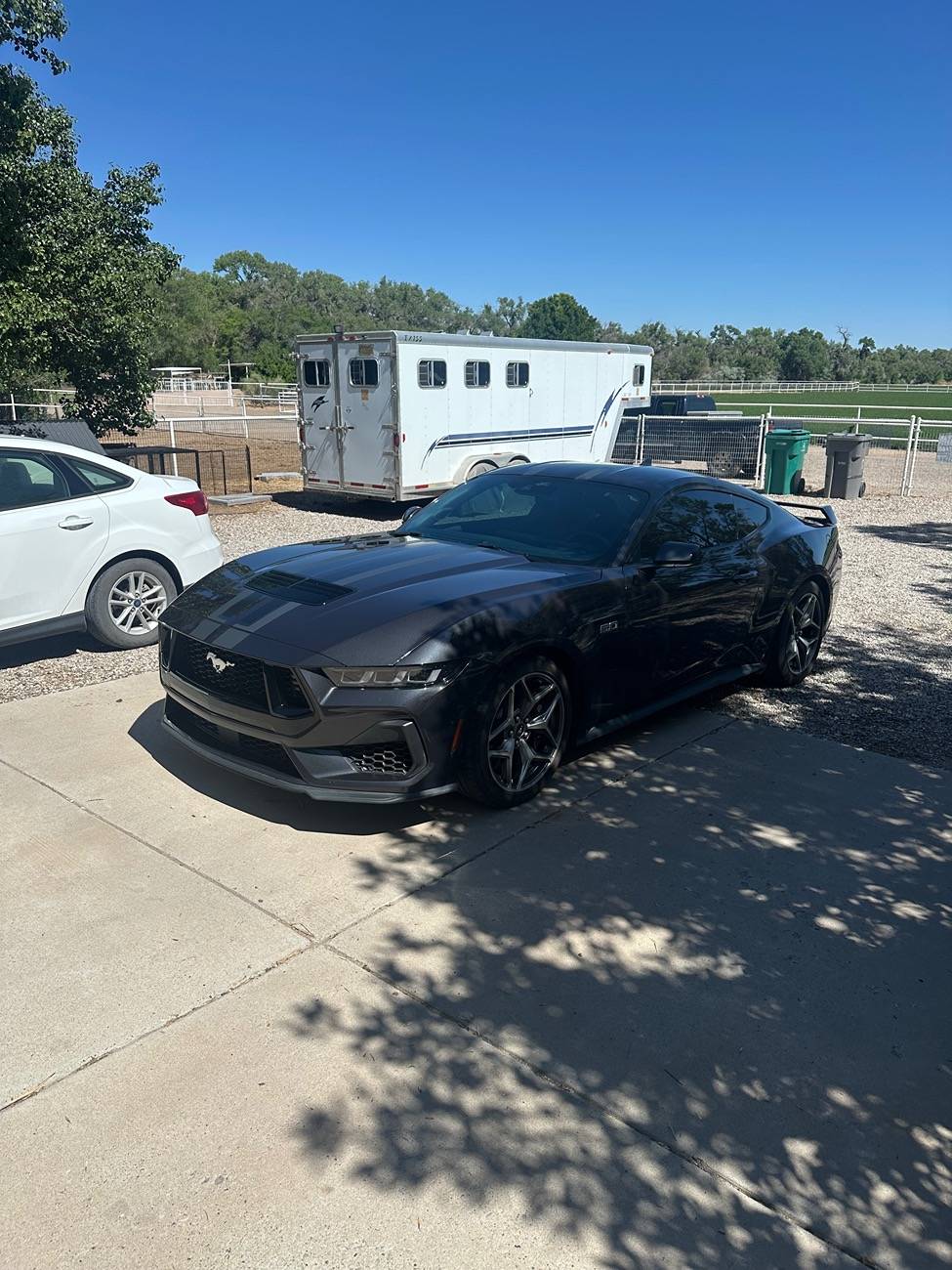 S650 Mustang Cool Daily Random S650 Mustang Pics -- Post Yours! 📸 IMG_0724