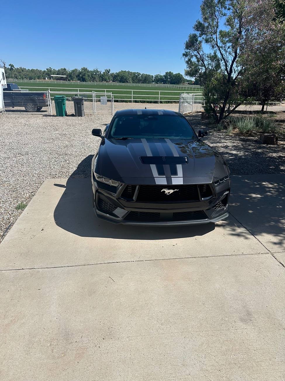S650 Mustang Cool Daily Random S650 Mustang Pics -- Post Yours! 📸 IMG_0725
