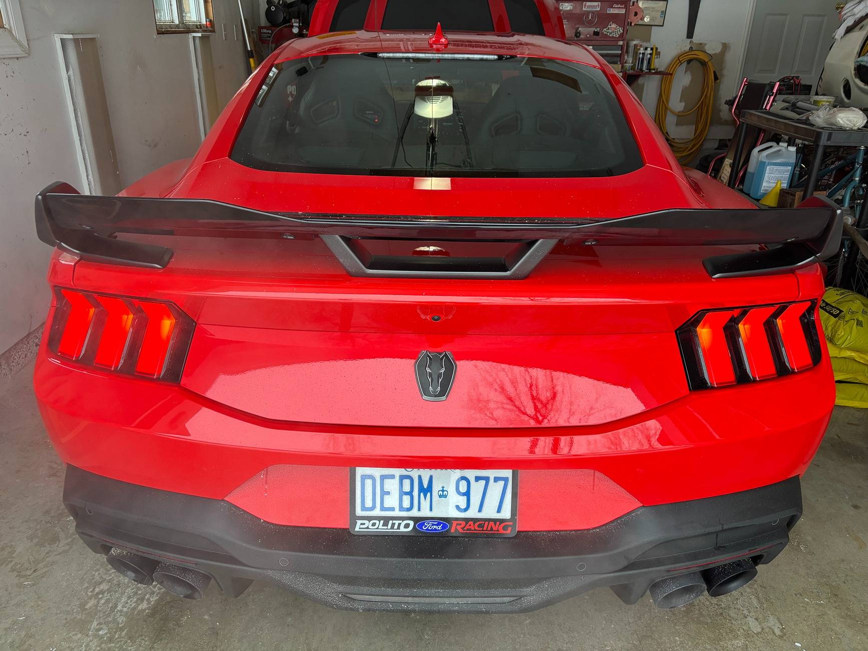 S650 Mustang Introductions & Welcome Thread 👋 IMG_0731