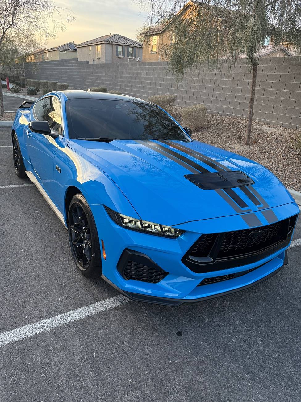 S650 Mustang Official GRABBER BLUE Mustang S650 Thread IMG_0824