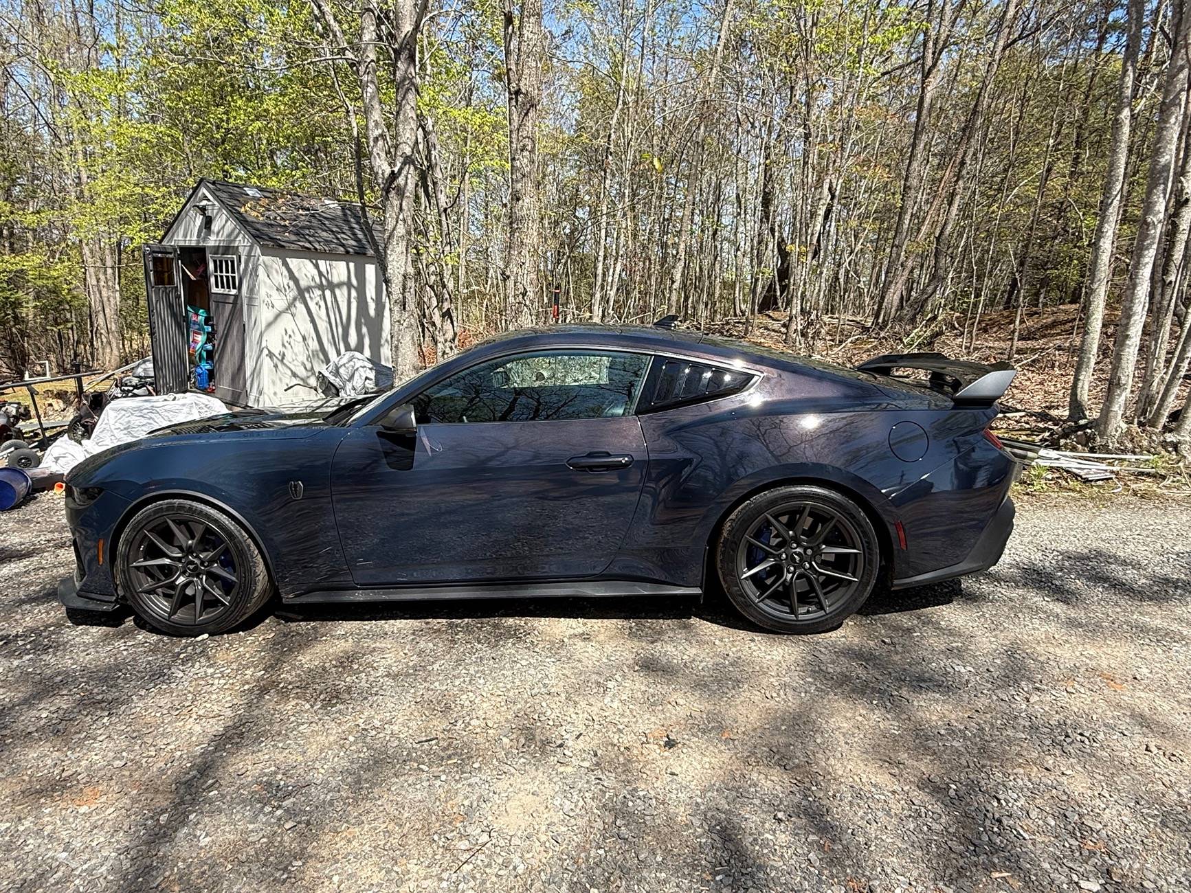 S650 Mustang Introductions & Welcome Thread 👋 IMG_0996
