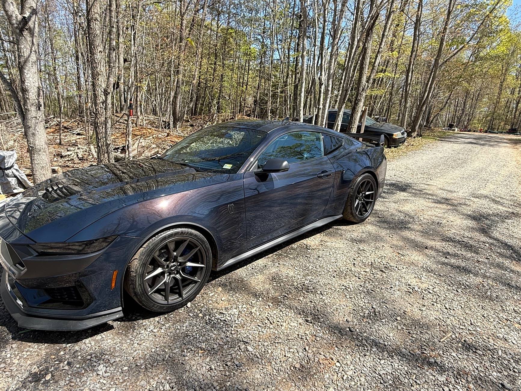 S650 Mustang Introductions & Welcome Thread 👋 IMG_0997
