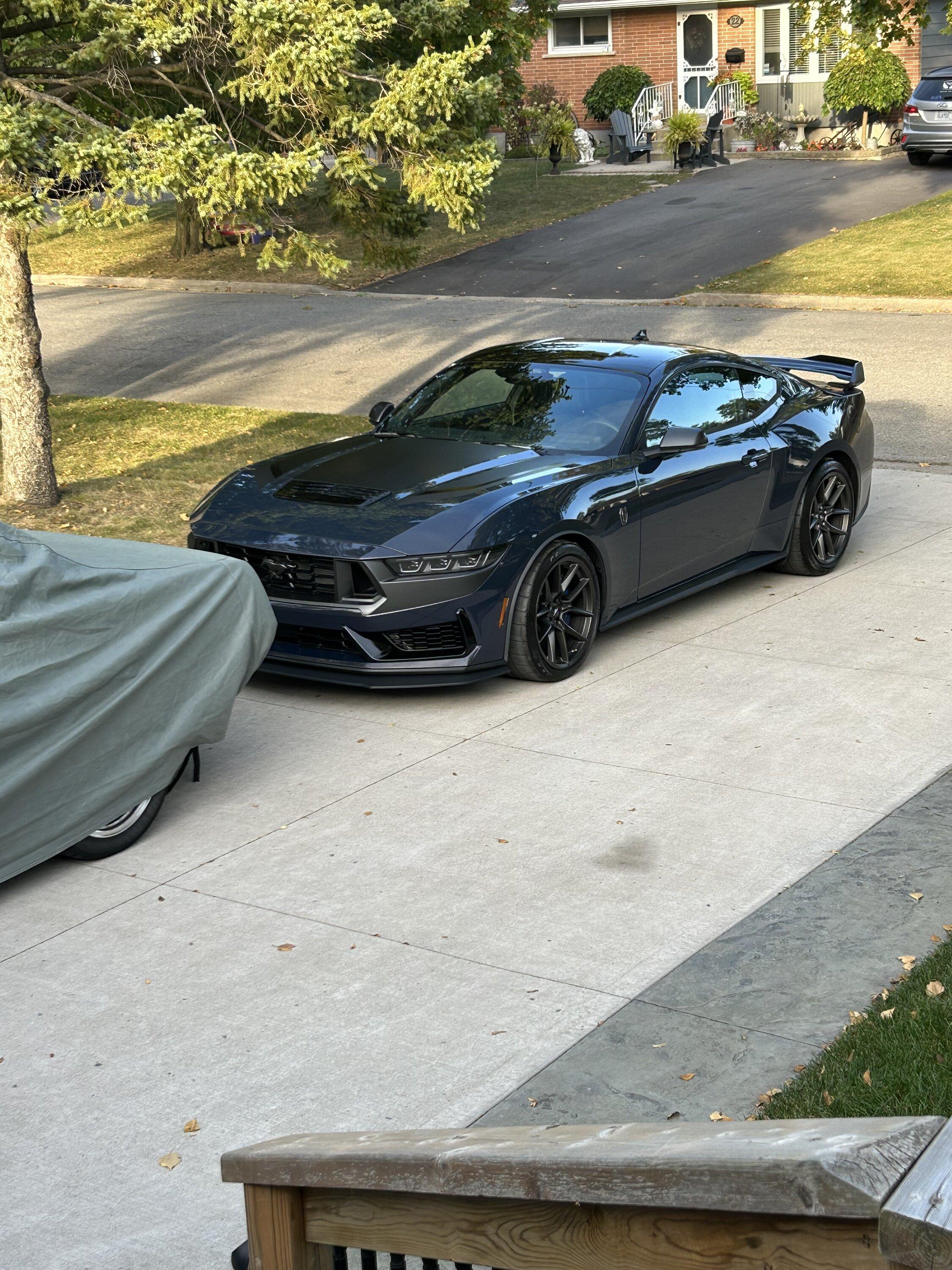 S650 Mustang Official BLUE EMBER Mustang S650 Thread IMG_1071