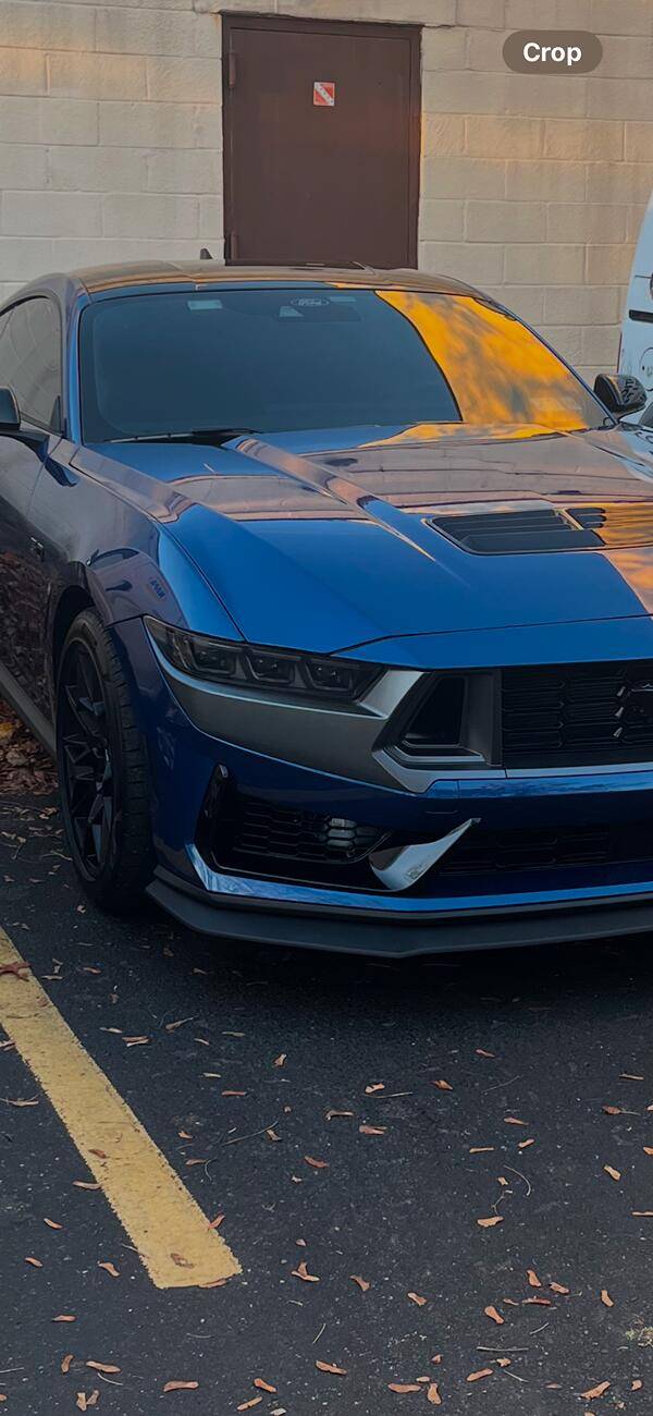 S650 Mustang Dark Horse Headlight Trim IMG_1130