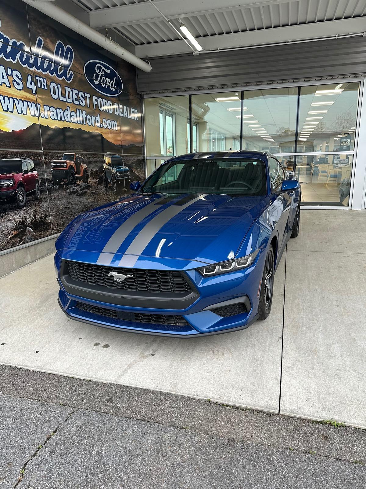 S650 Mustang Color Poll IMG_1157