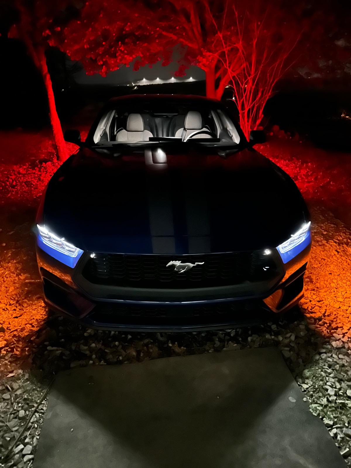 S650 Mustang Official ATLAS BLUE Mustang S650 Thread IMG_1164