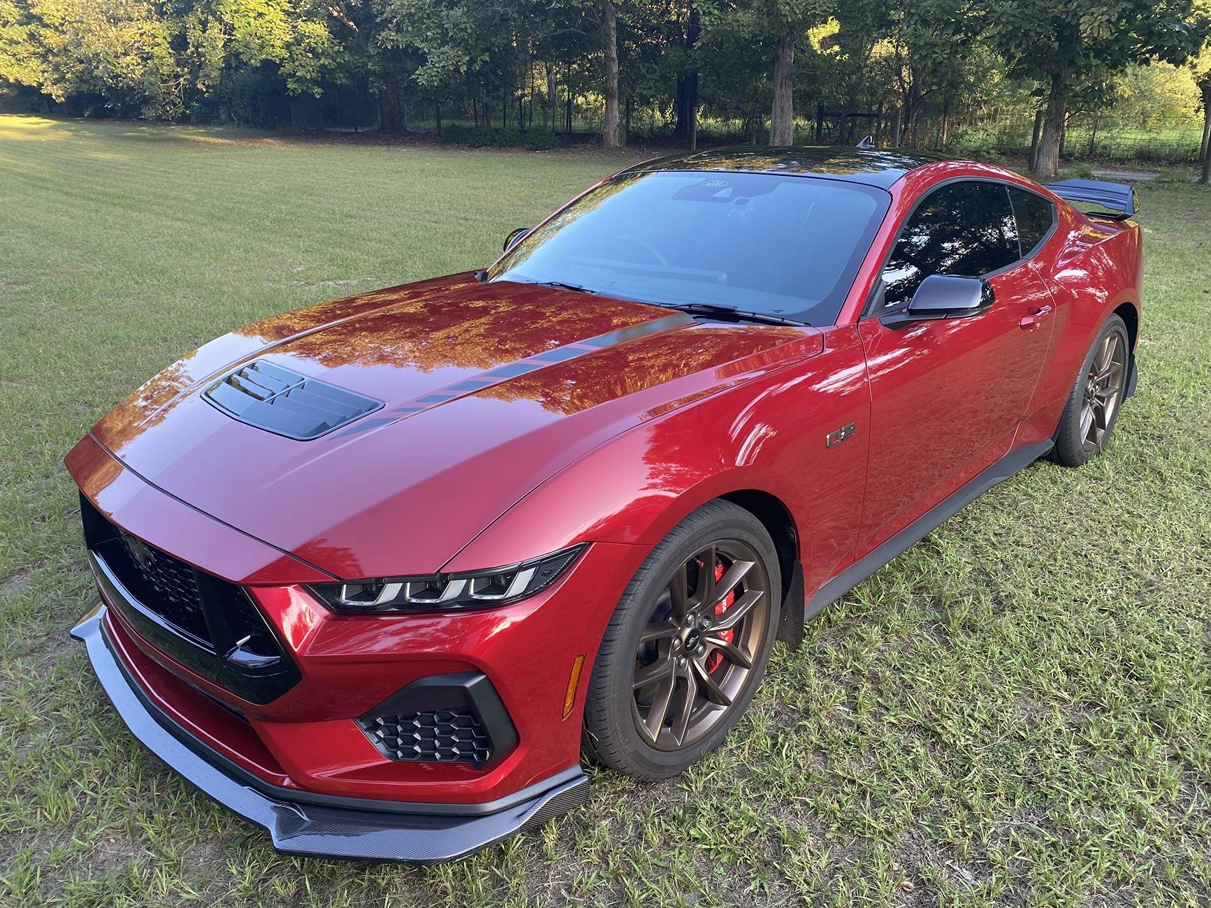 S650 Mustang How many Mustangs have you had? (a funny story) IMG_11877.JPG