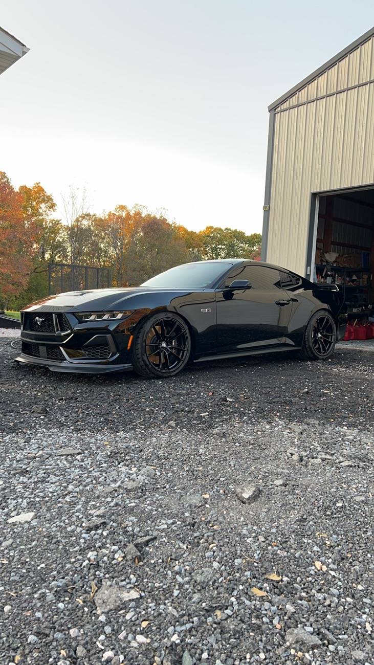 S650 Mustang Cool Daily Random S650 Mustang Pics -- Post Yours! 📸 IMG_1276