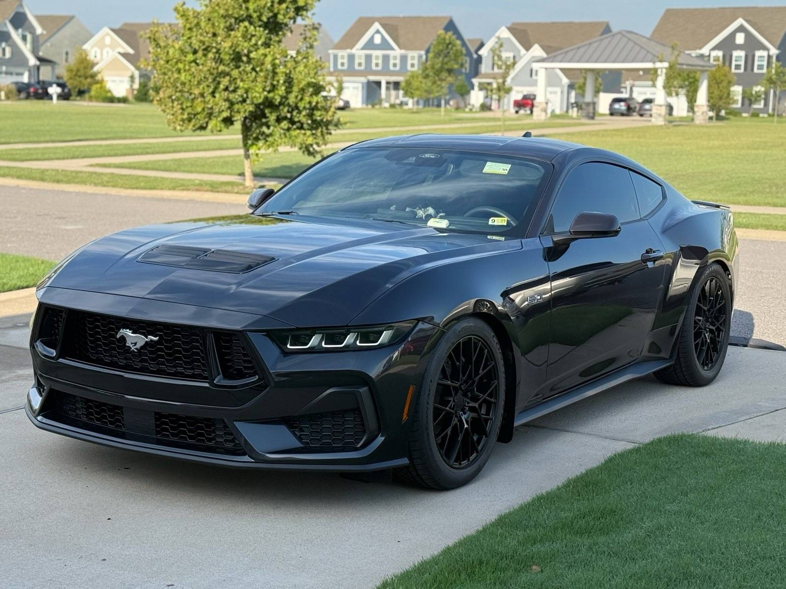 S650 Mustang Tint Ideas IMG_1283