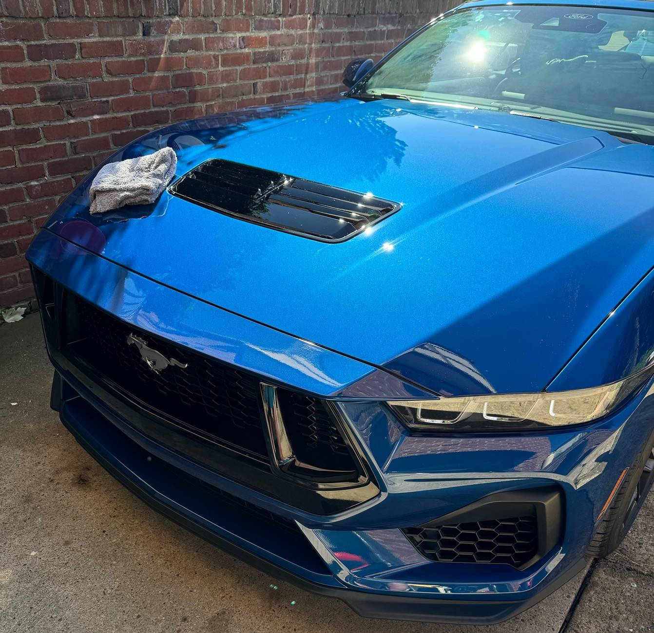 S650 Mustang DIY I detailed my GT vert with ceramic IMG_1315