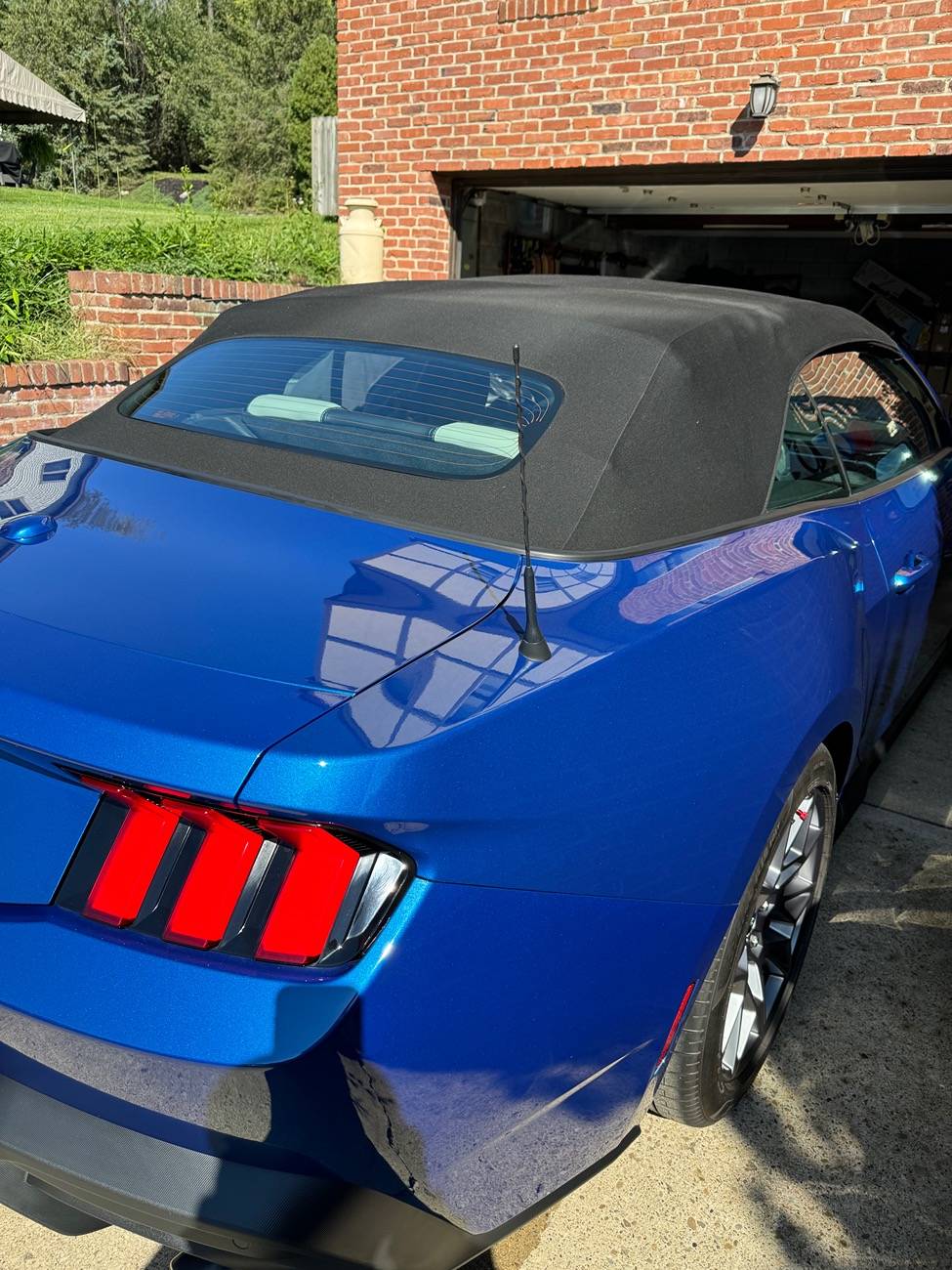 S650 Mustang DIY I detailed my GT vert with ceramic IMG_1322