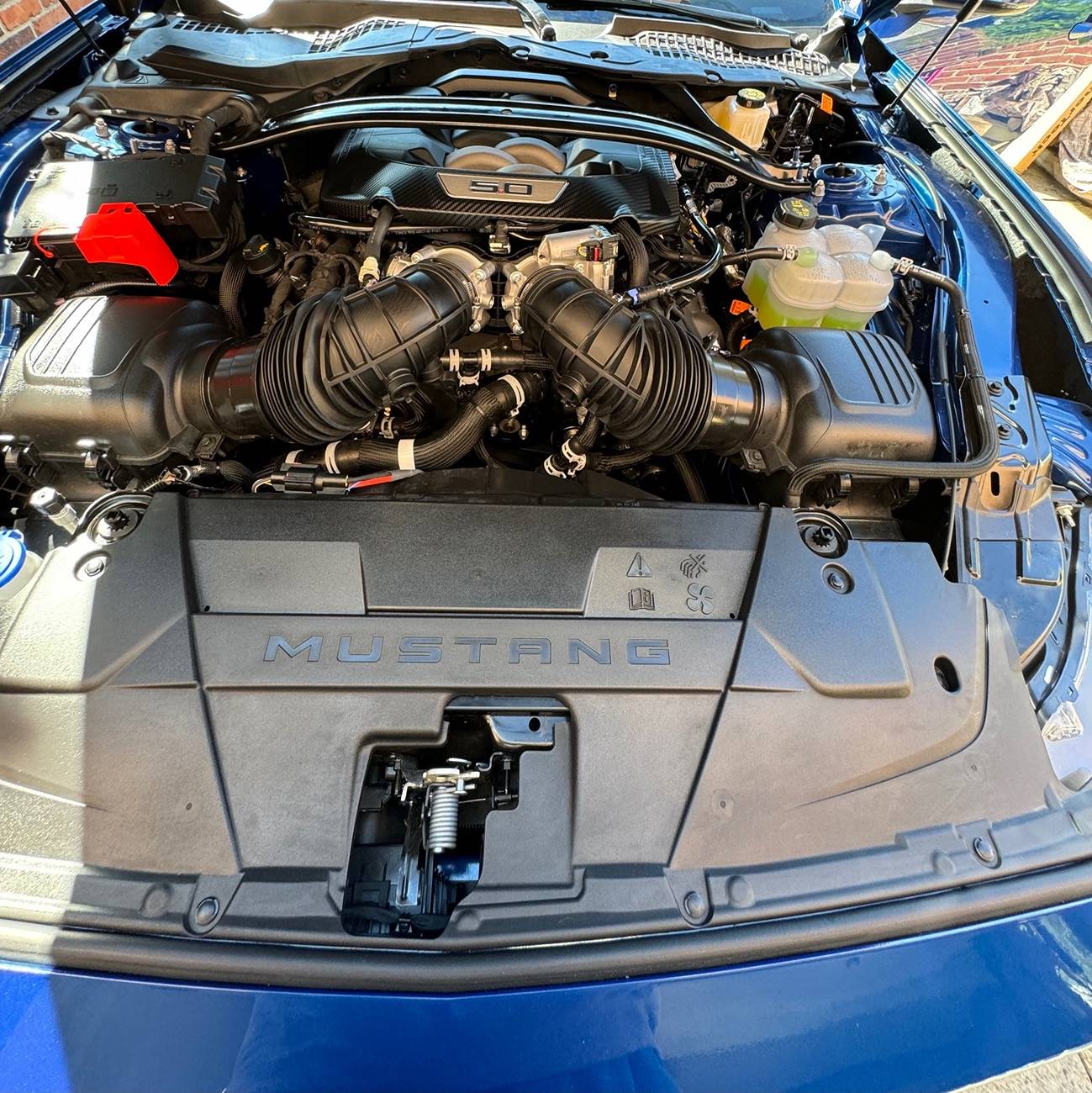 S650 Mustang DIY I detailed my GT vert with ceramic IMG_1336