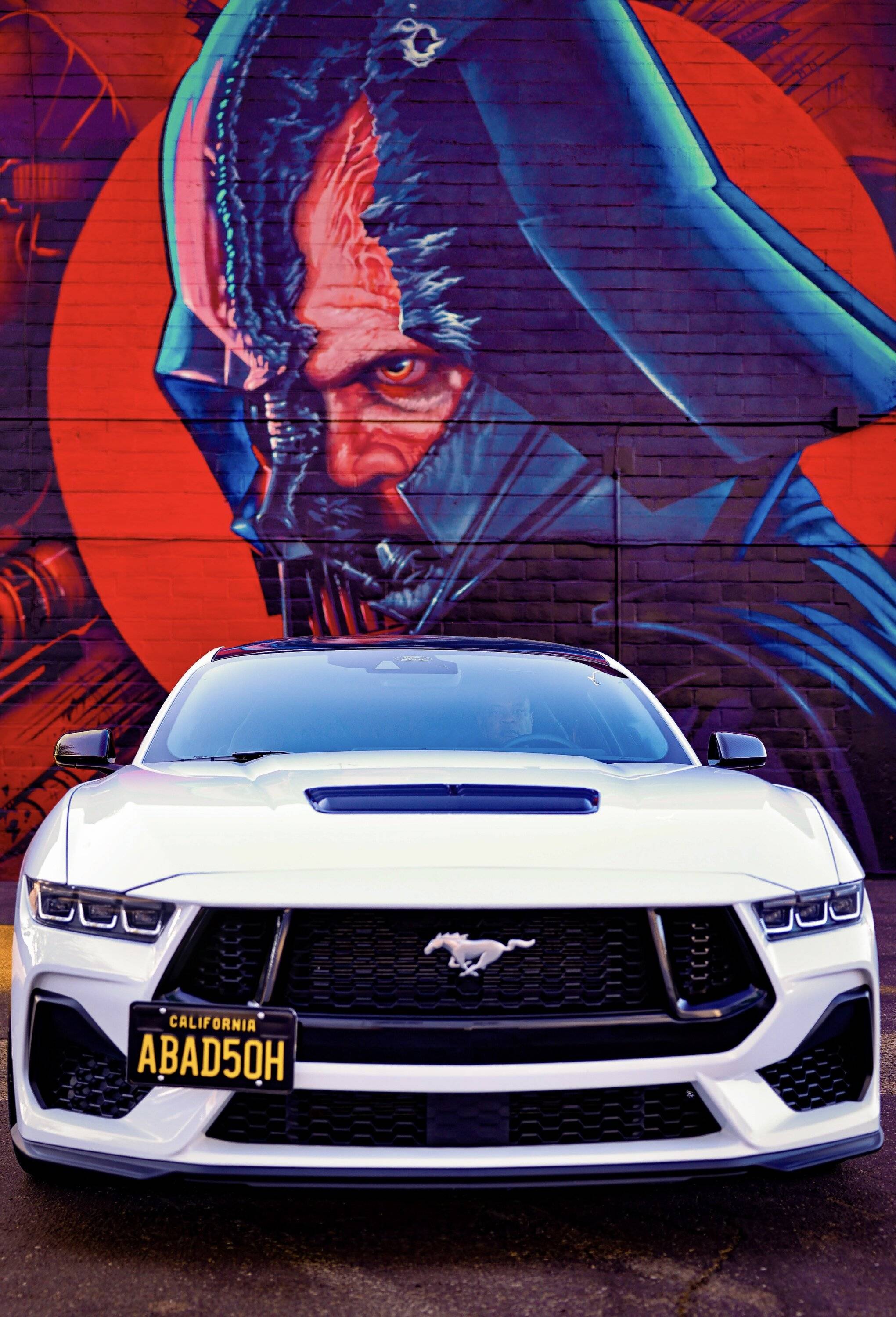 S650 Mustang Cleaned up for the photo shoot IMG_1390