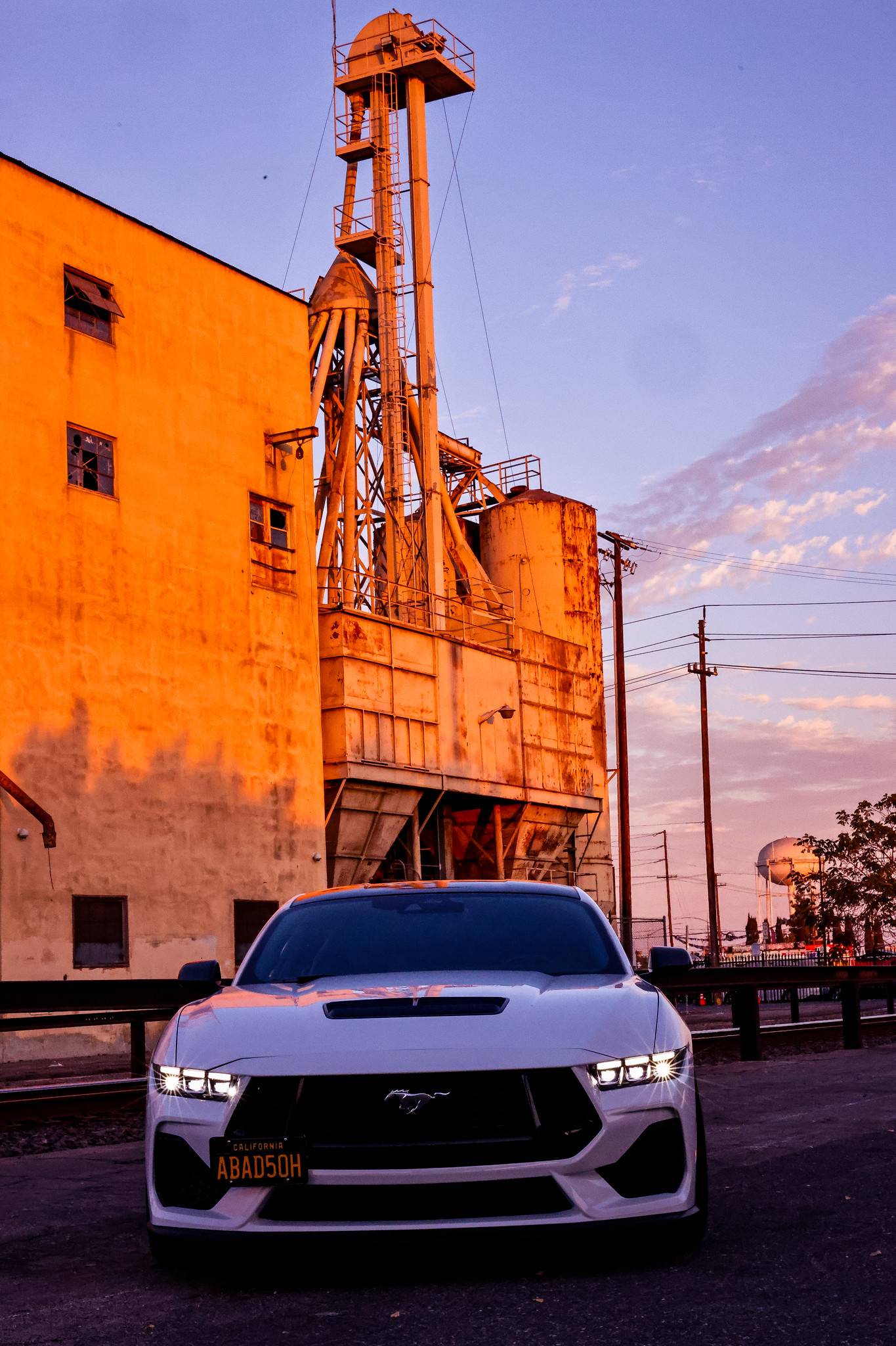 S650 Mustang Cleaned up for the photo shoot IMG_1403