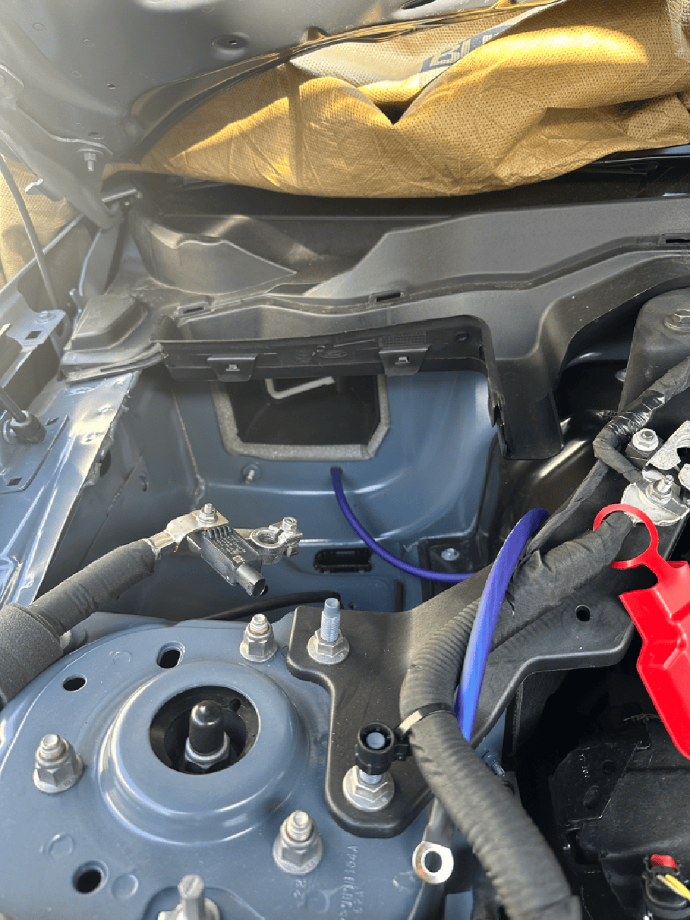 S650 Mustang Base Budget Bass Build! IMG_1458
