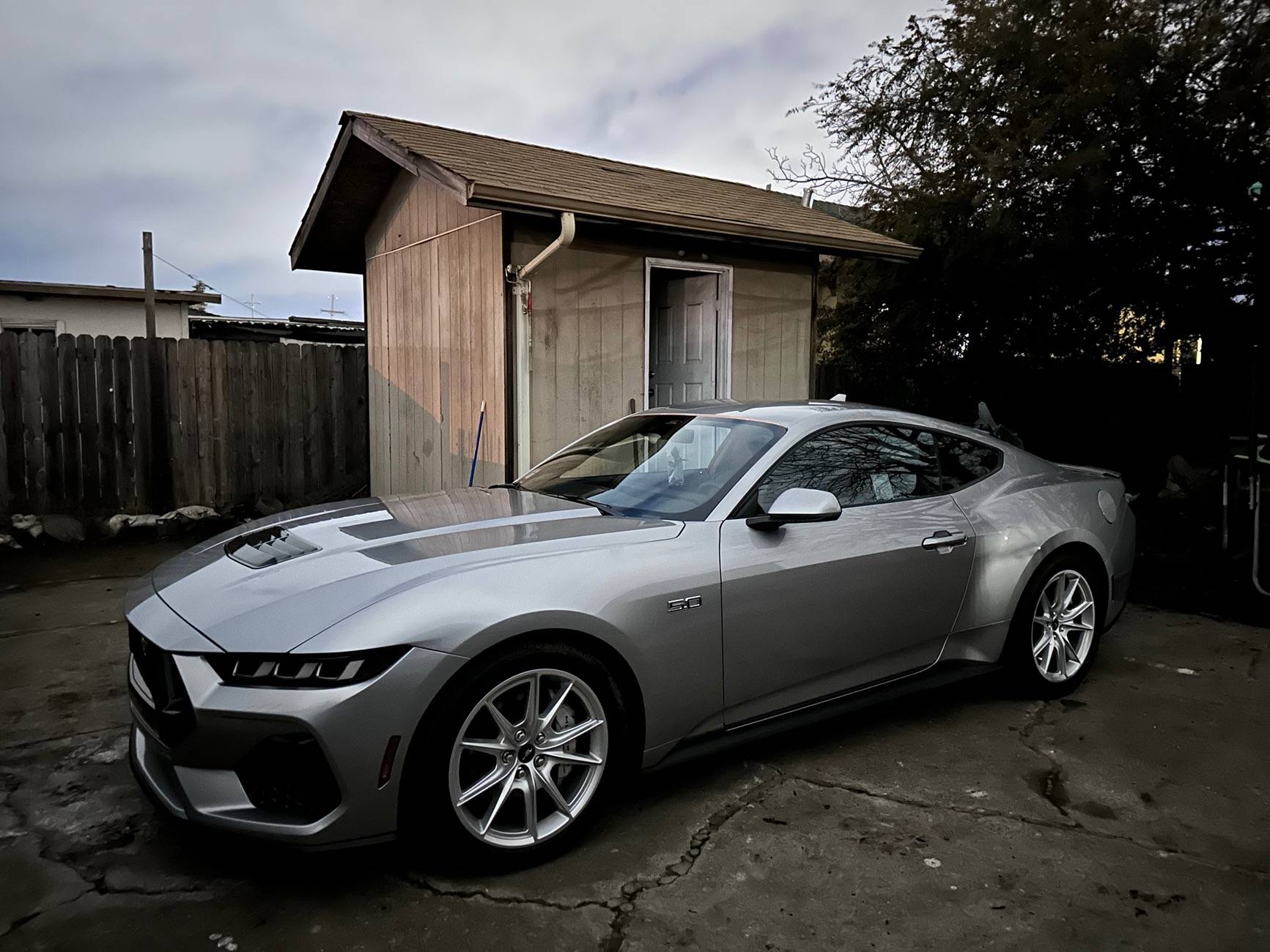 S650 Mustang Free Christmas Giveaway by Screen Protech IMG_1472