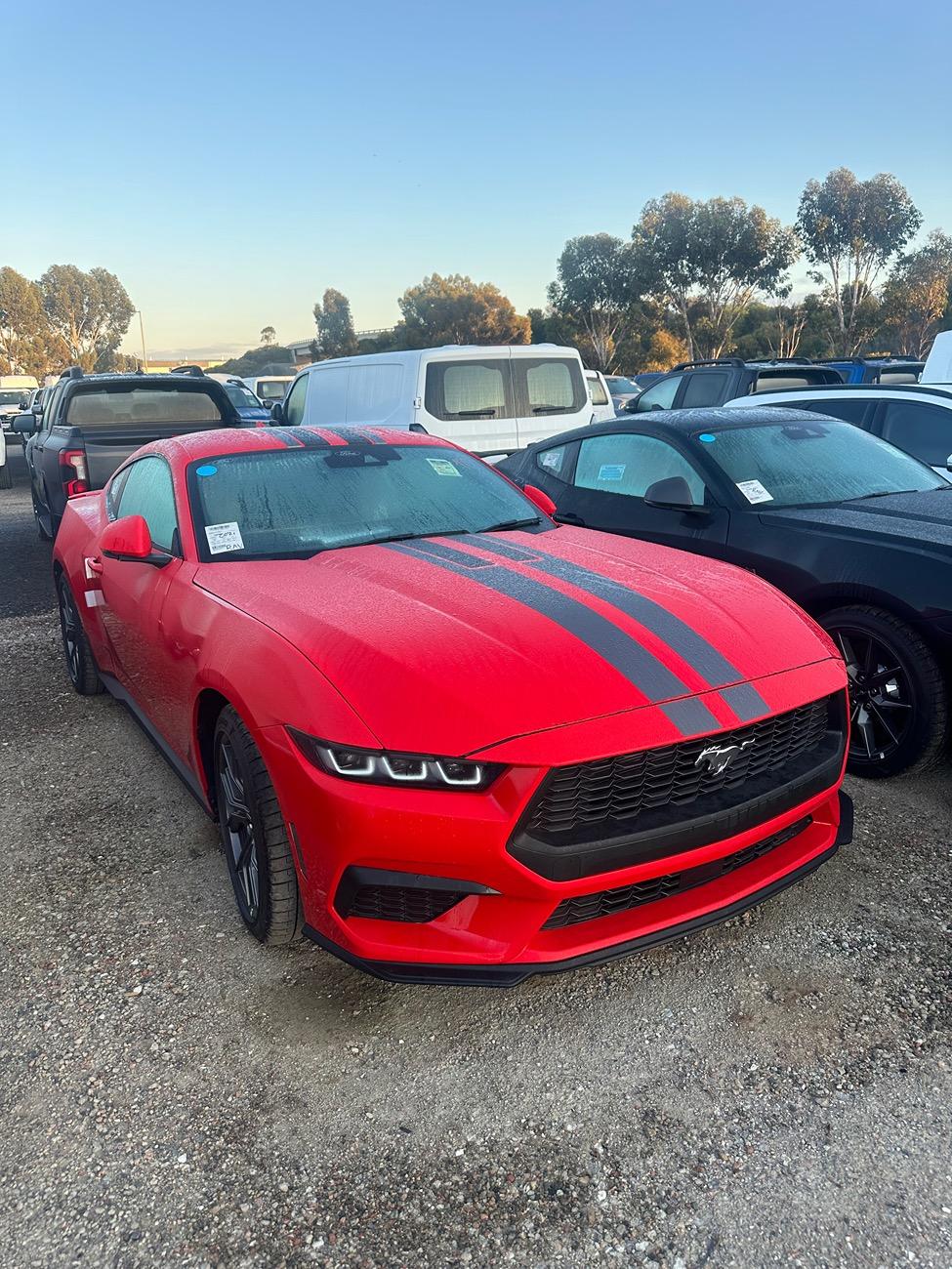 S650 Mustang 2024 Mustang Australia (AU) Pricing and Timing Schedule IMG_1506