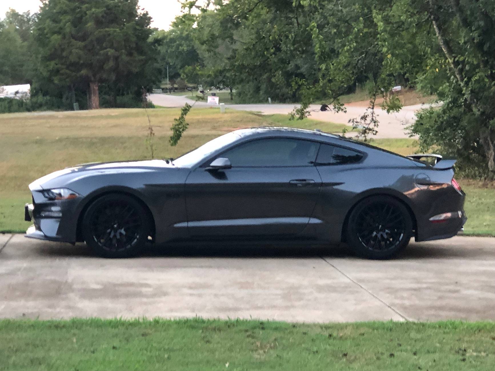 S650 Mustang How many Mustangs have owned? IMG_1531
